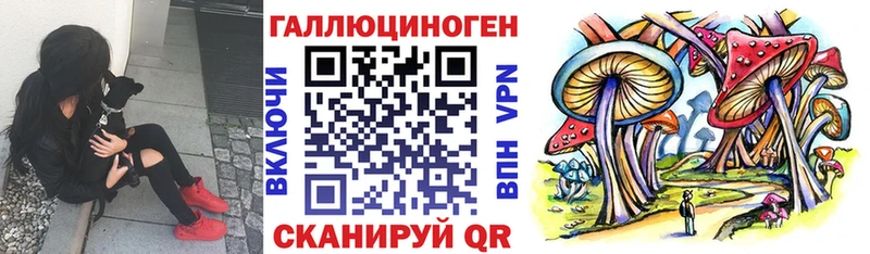 наркошоп  Лесосибирск  Псилоцибиновые грибы мицелий 